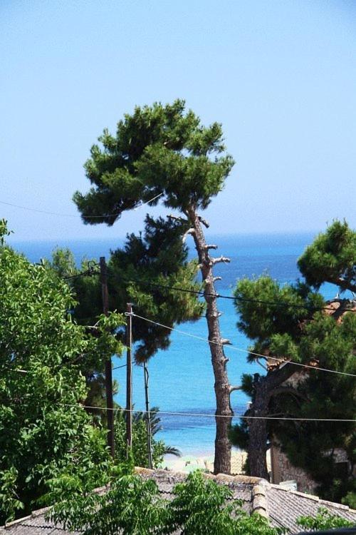 Alexander Apartments Skala  Kültér fotó